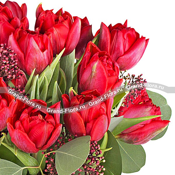 Любовь навсегда - букет из красных тюльпанов 