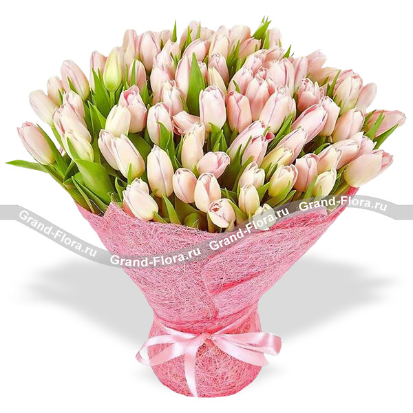 101 нежно-розовый тюльпан в упаковке